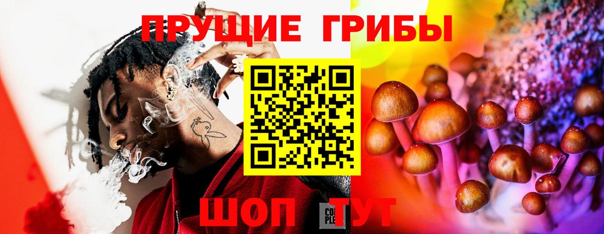 Гусь-Хрустальный  Галлюциногенные грибы Psilocybine cubensis  Галлюциногенные грибы Psilocybe  Вход с VPN 