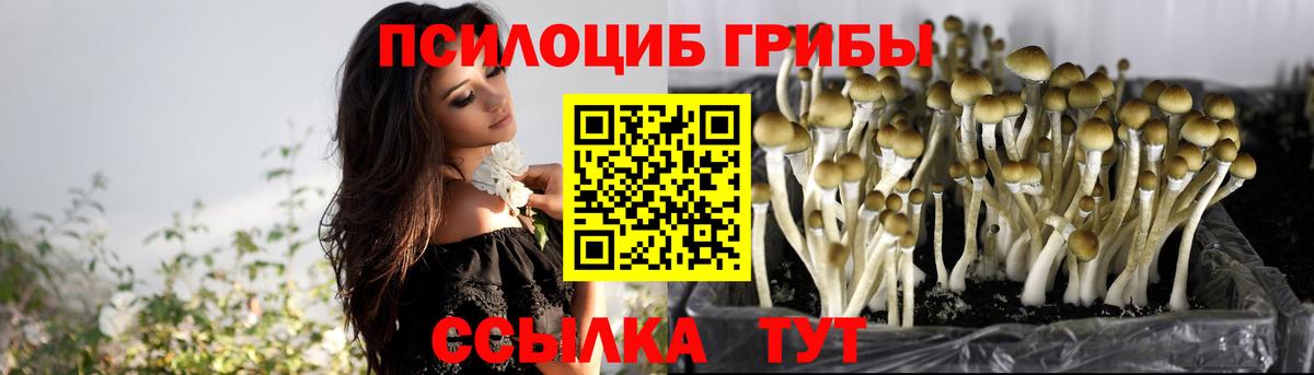 Псилоцибиновые грибы Psilocybine cubensis Гусь-Хрустальный